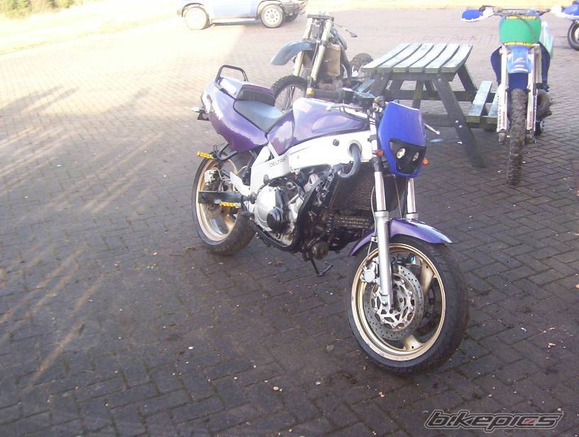 Photo 295503