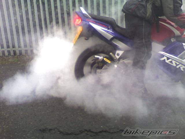 Photo 295522