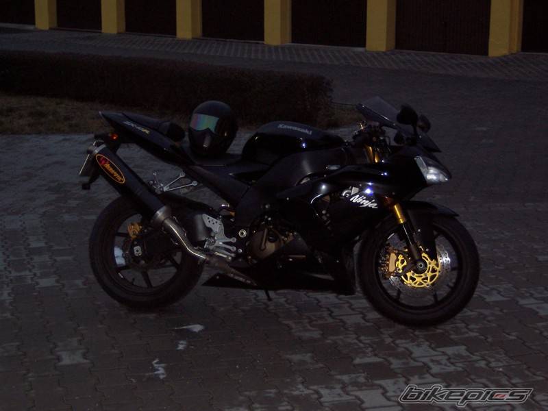 Photo 295529