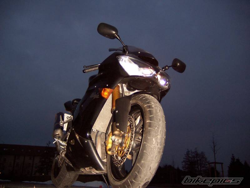 Photo 295534