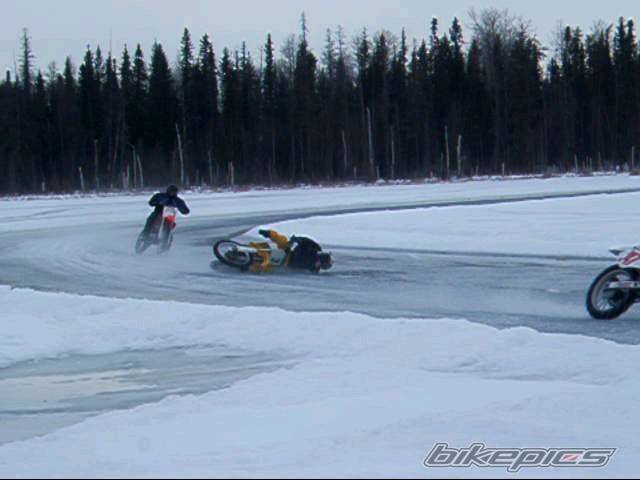 Photo 295566