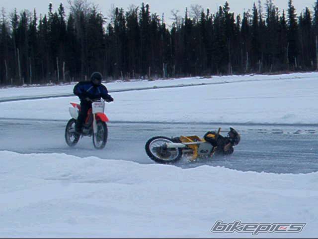 Photo 295567
