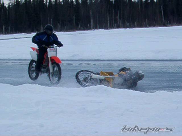 Photo 295569