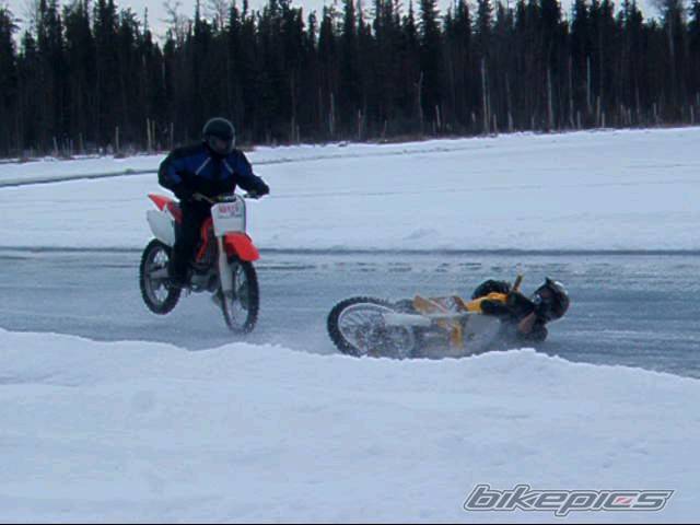 Photo 295570