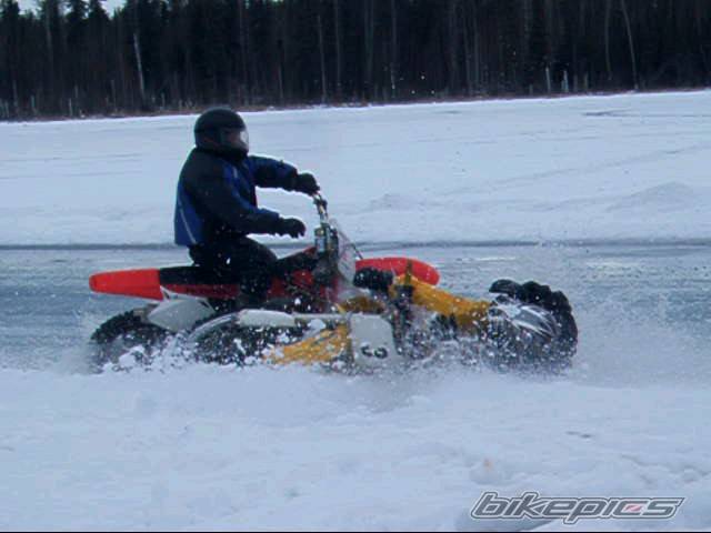 Photo 295571