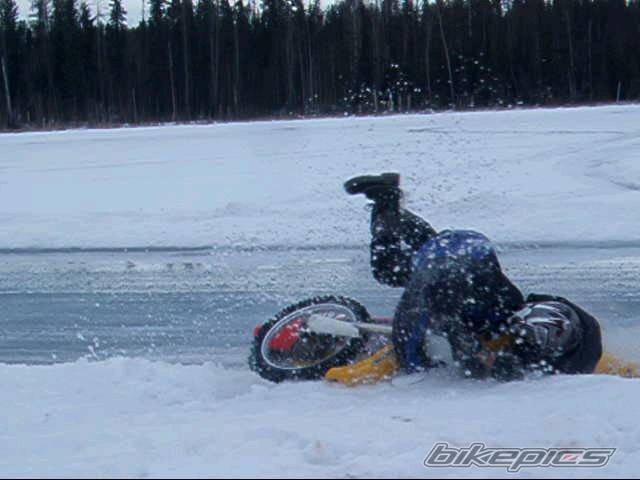 Photo 295572