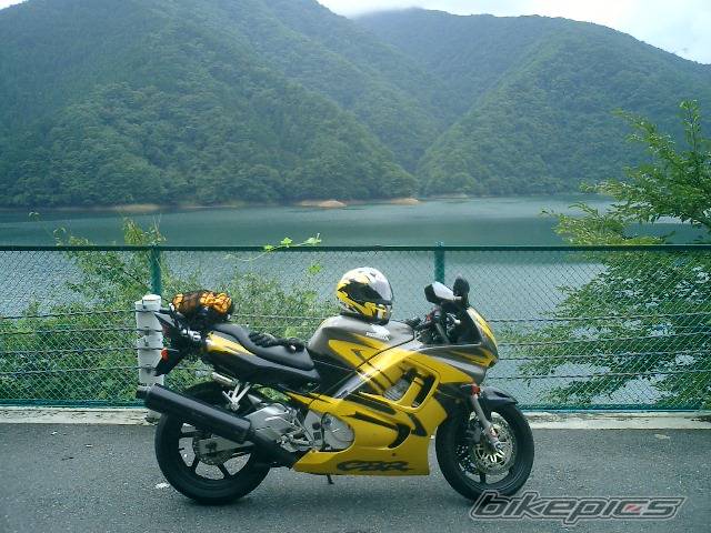 Bike Photo 295584