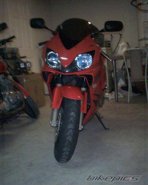 Photo 295602