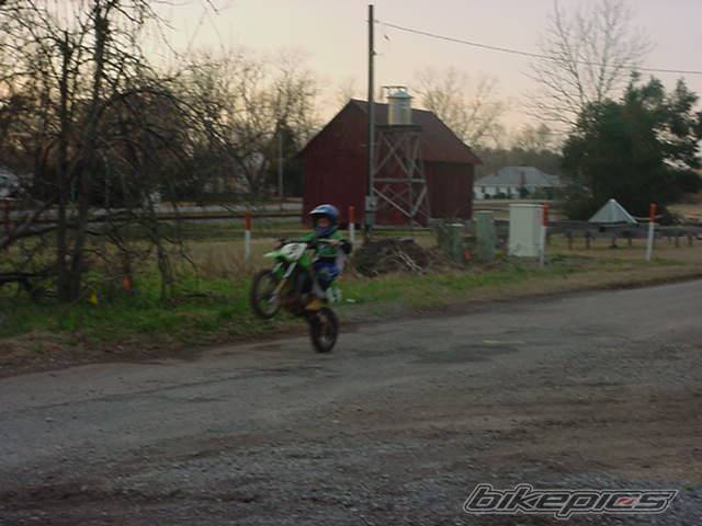 Photo 295608