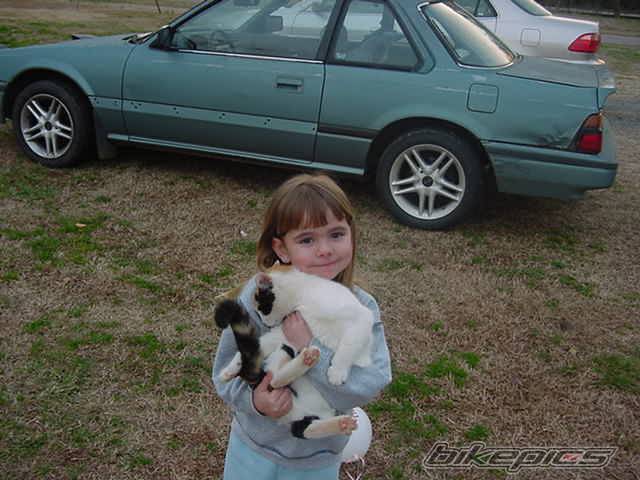 Photo 295609