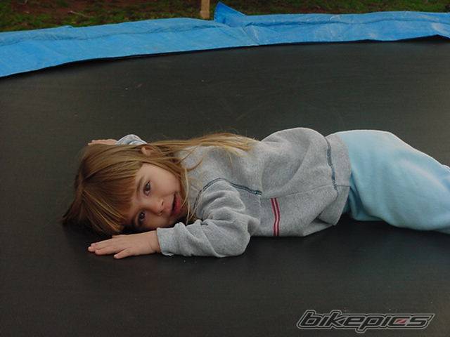 Photo 295610