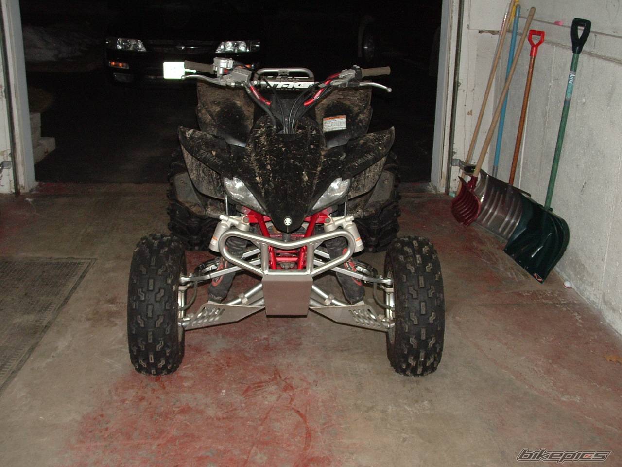 Photo 295662