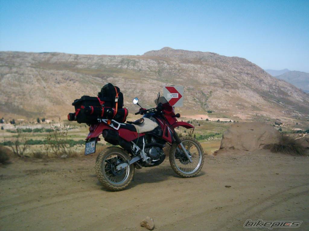 Photo 295663