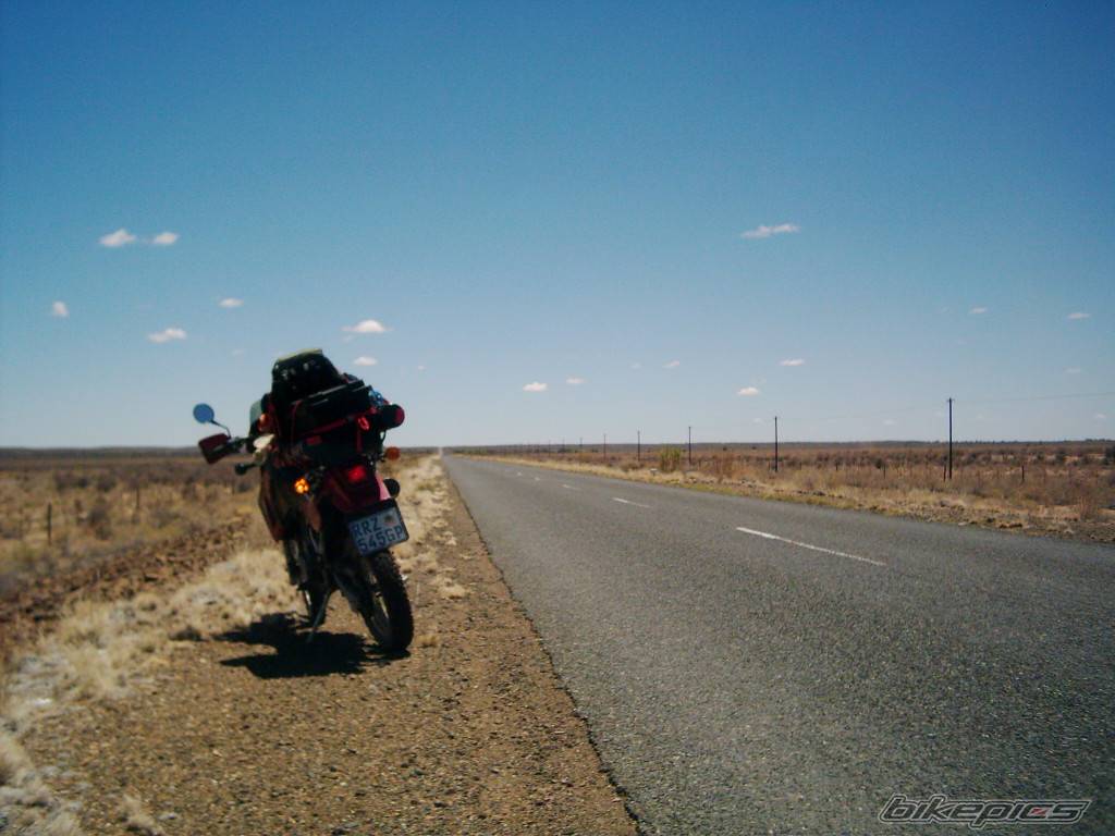Photo 295665