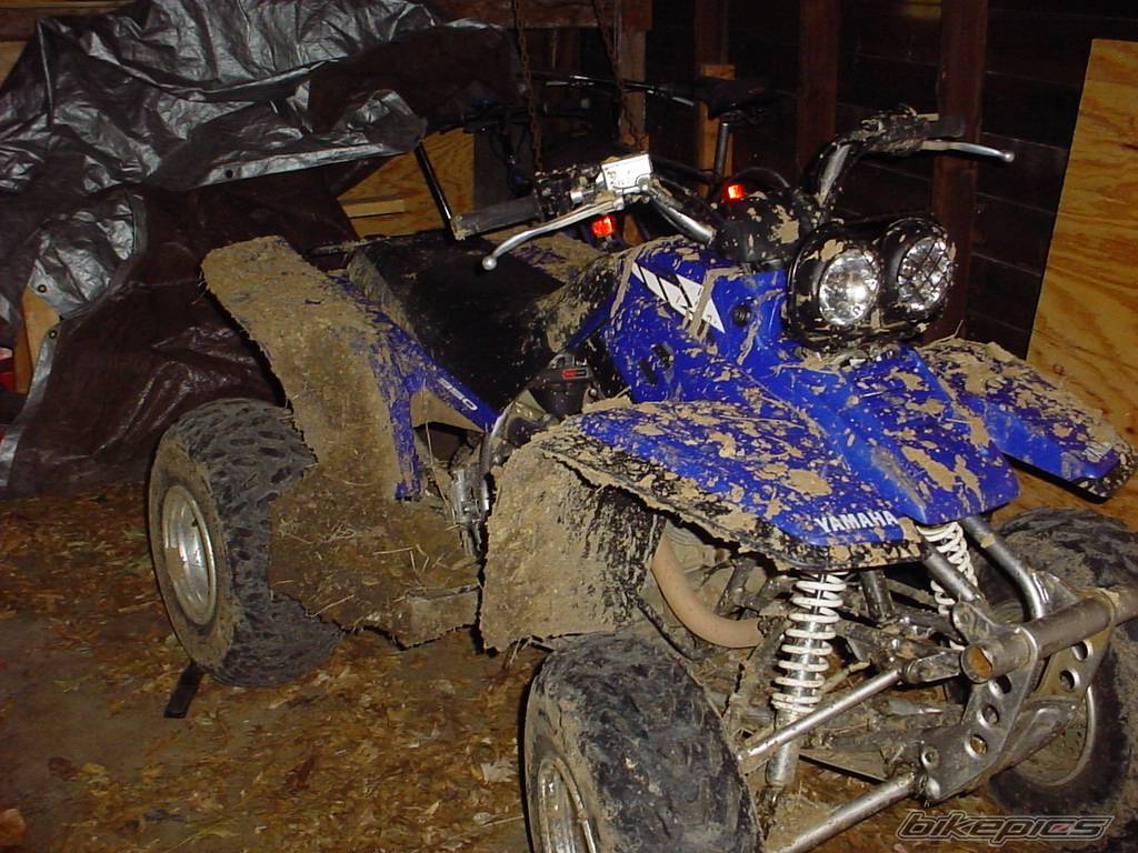 Bike Photo 295674