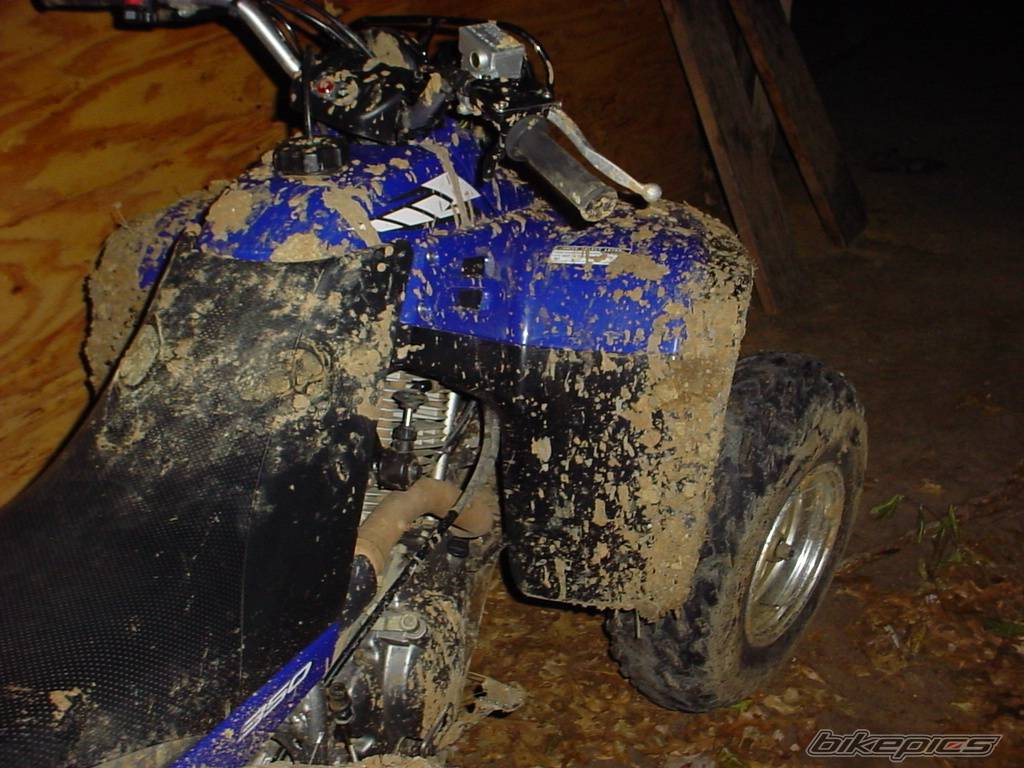 Bike Photo 295675