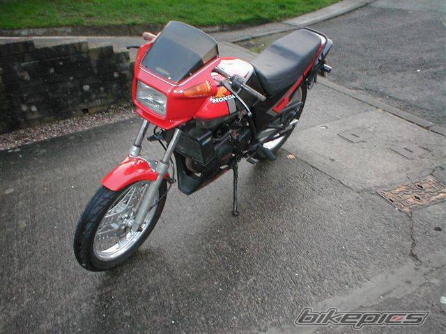 Photo 295709