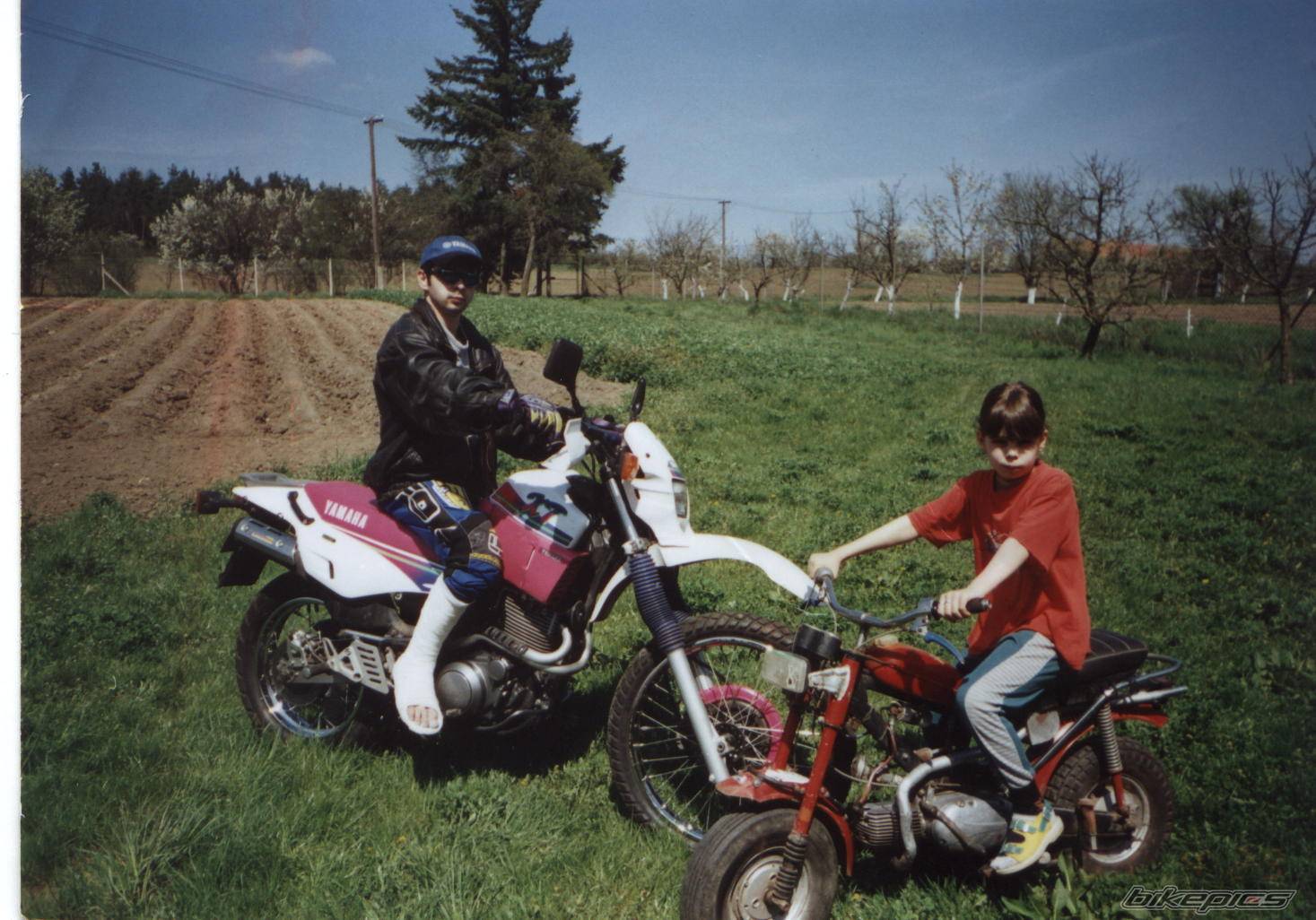Photo 295744