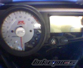 Photo 295786