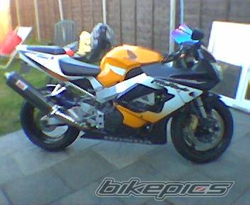 Photo 295787
