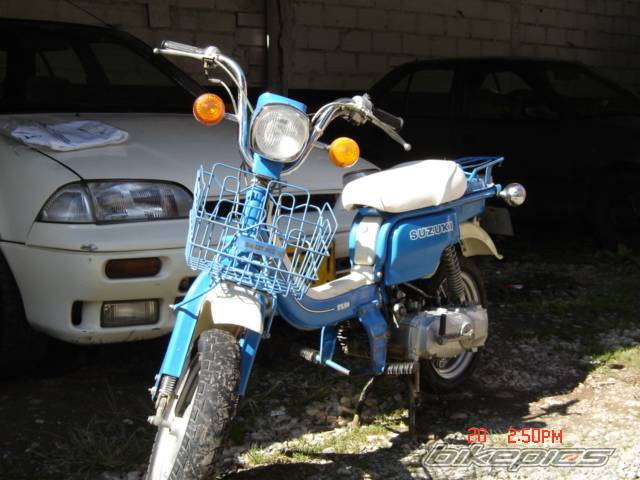 Photo 295796