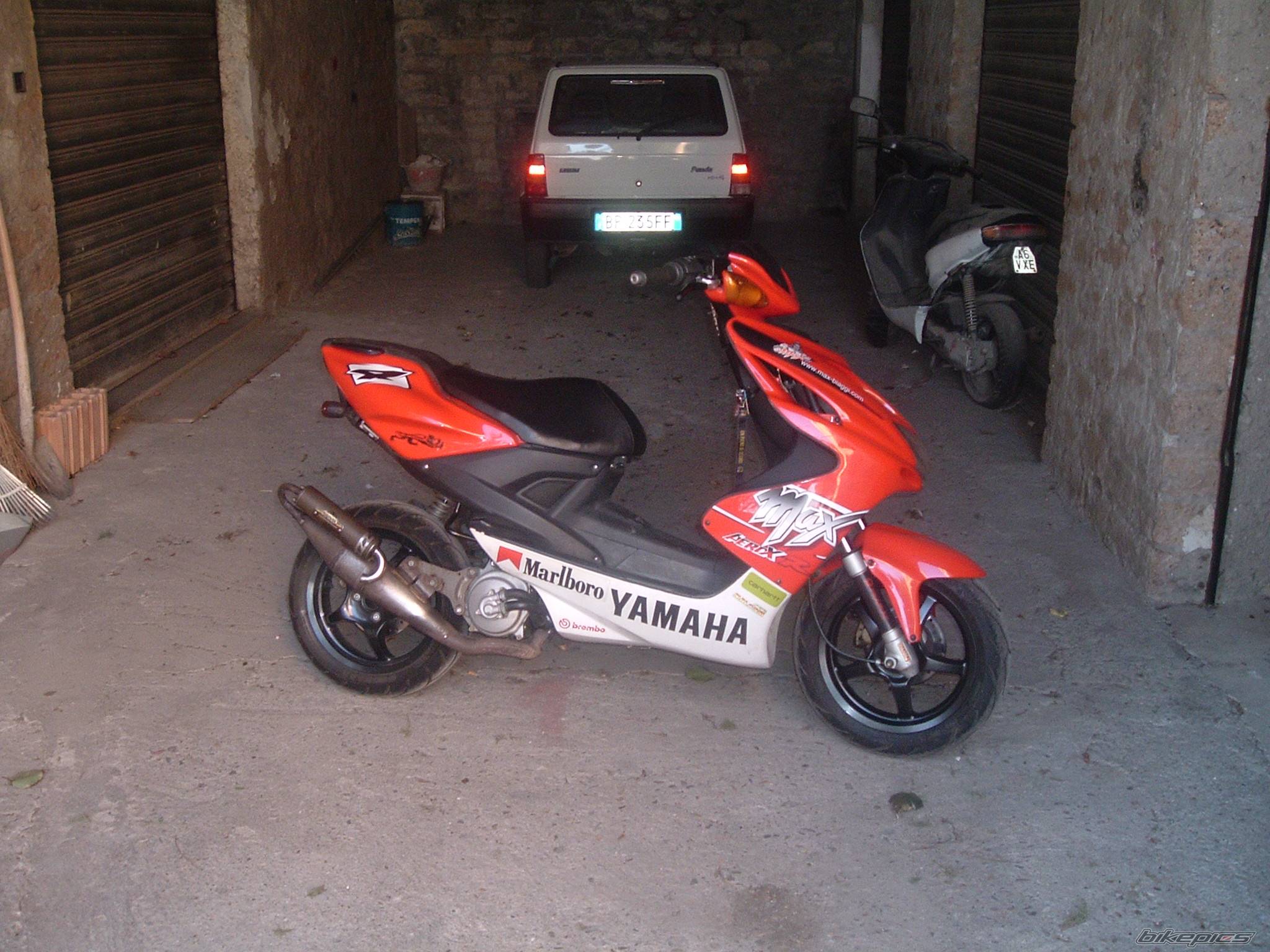 Photo 295900