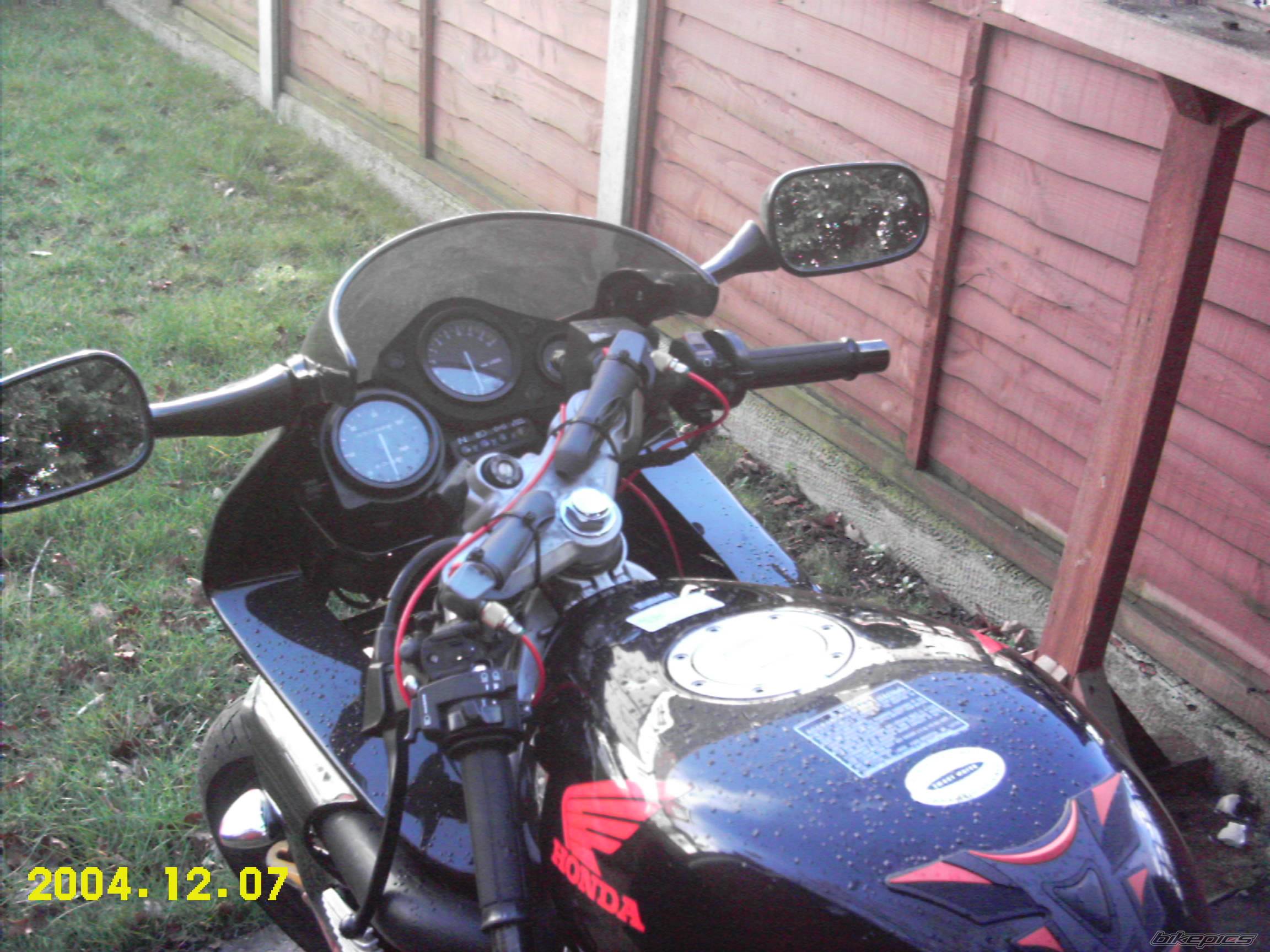 Photo 295917