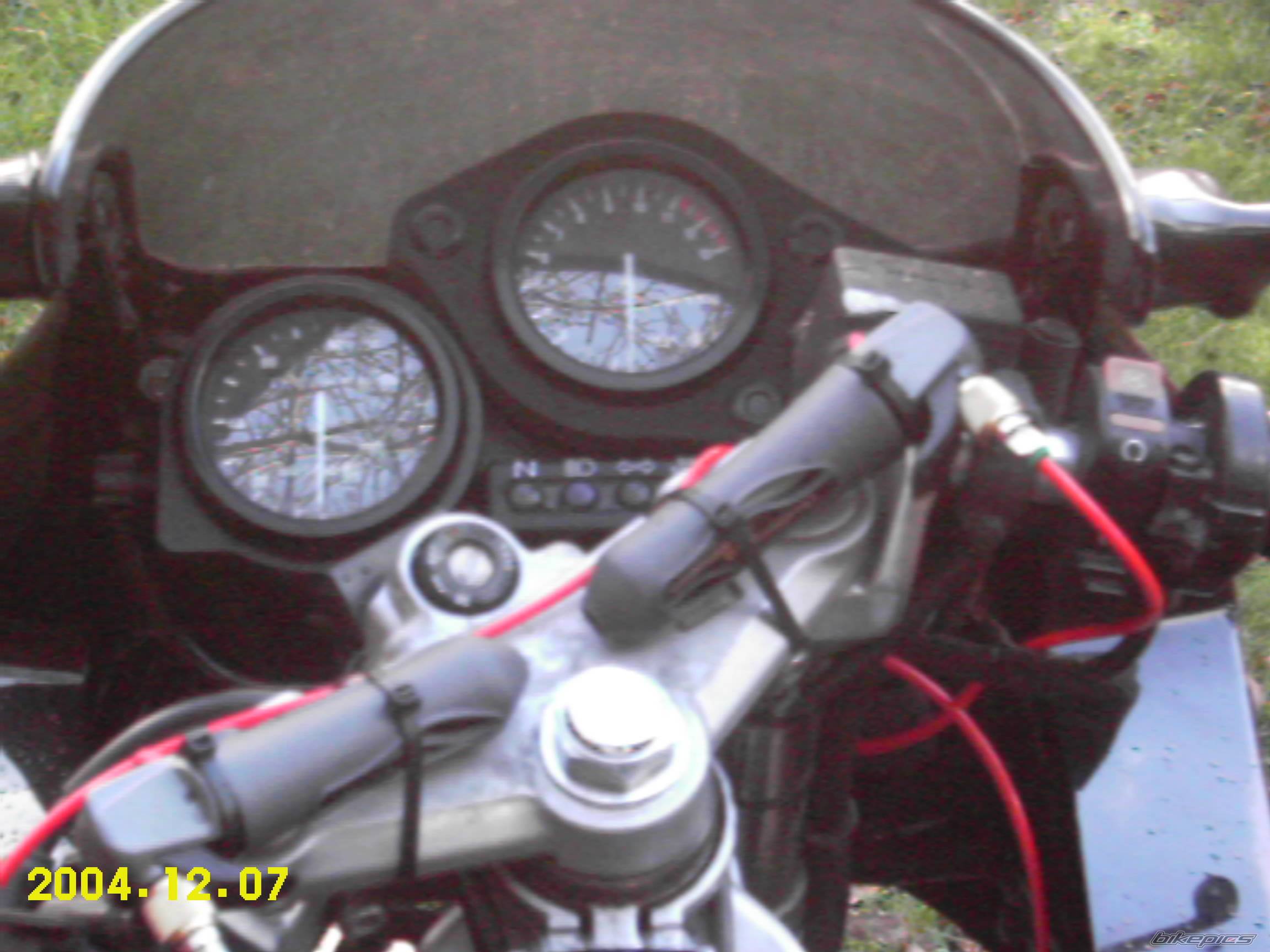 Photo 295924