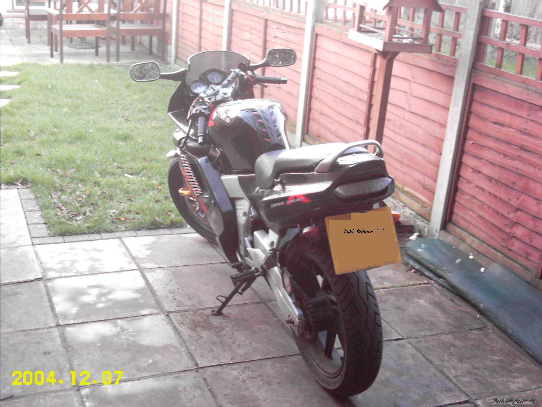 Photo 295925