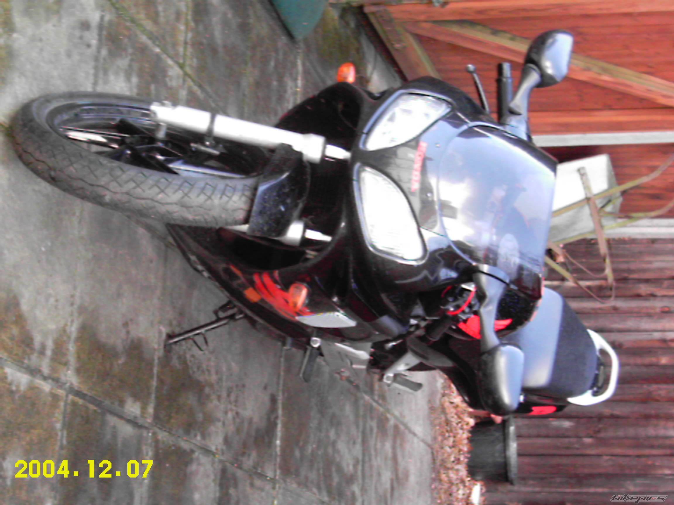 Photo 295927