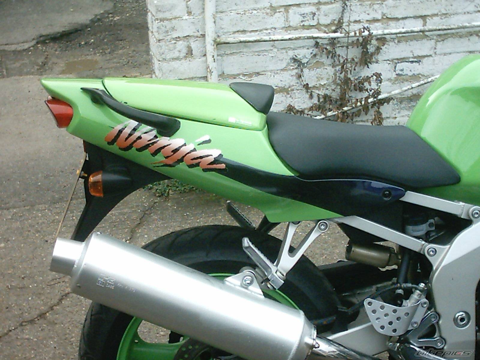 Photo 295932