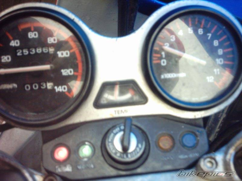 Photo 295954