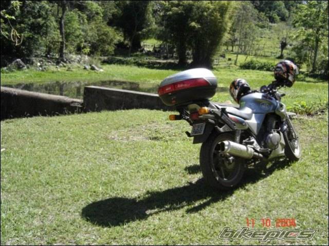 Photo 295962