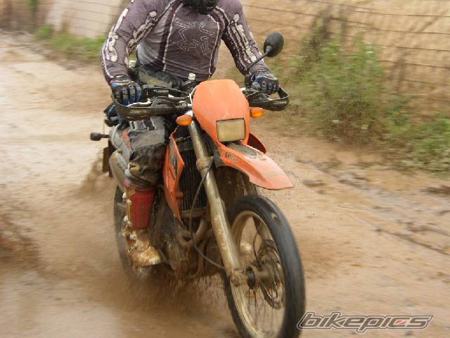 Bike Photo 295963