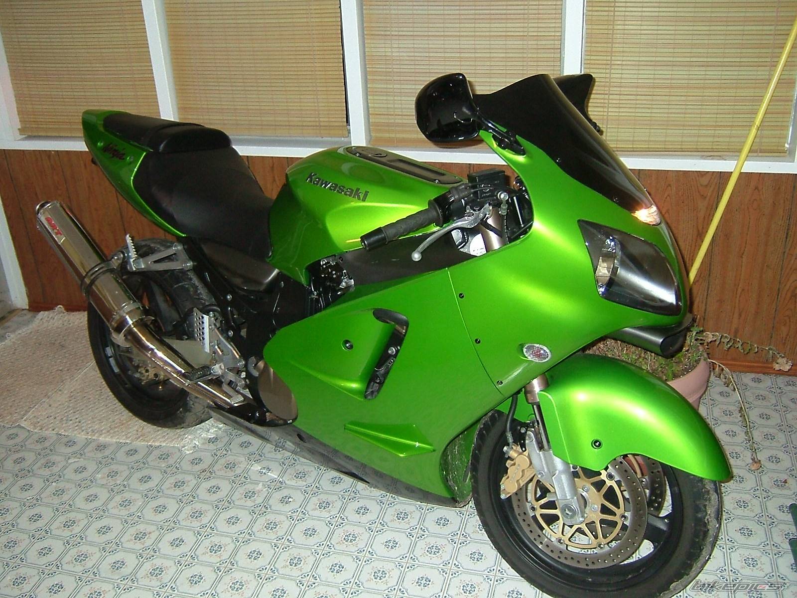 Photo 295992