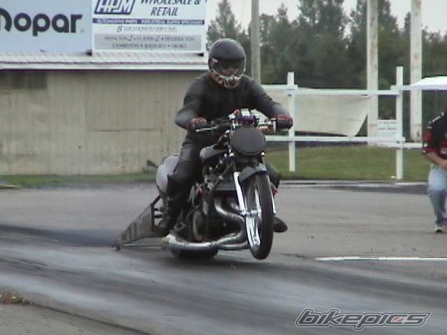 Photo 296038