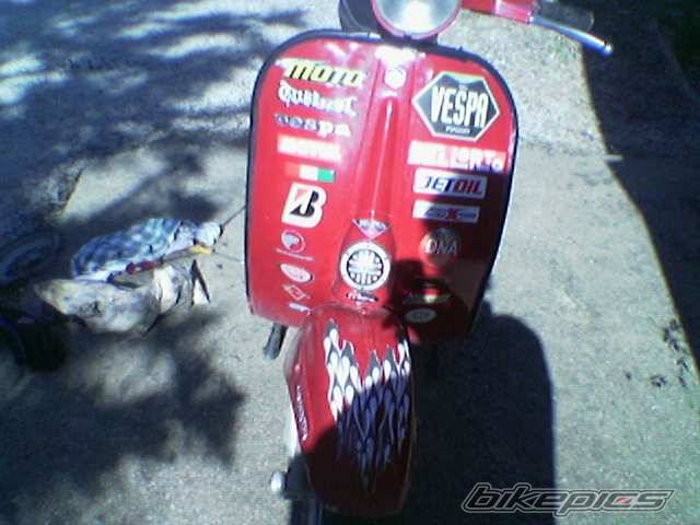 Photo 296056