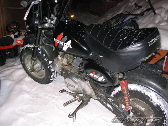 Photo 296074