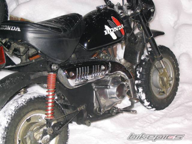 Photo 296075