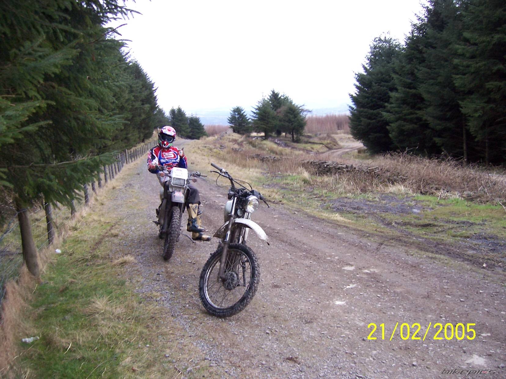 Photo 296088