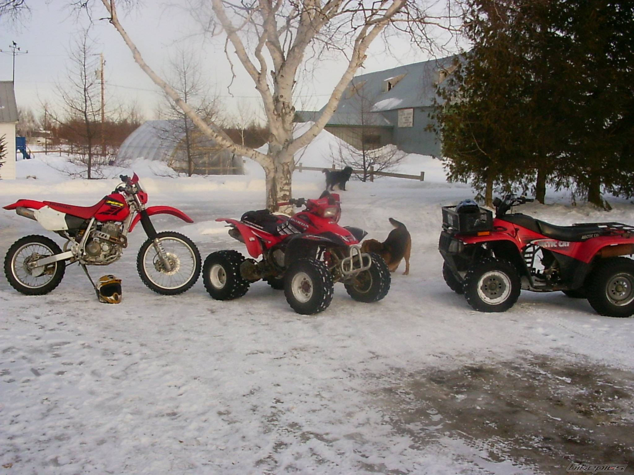 Bike Photo 296217
