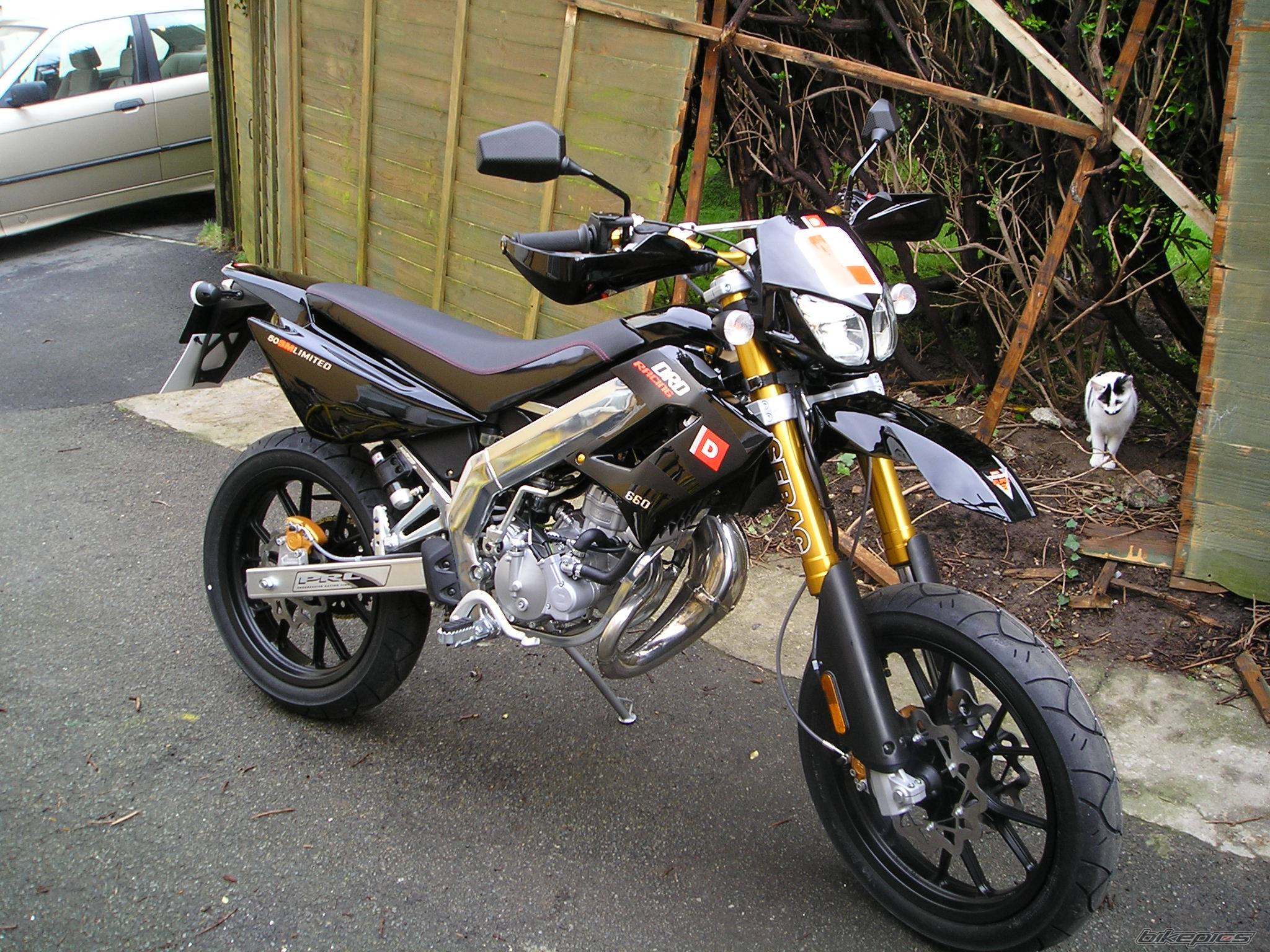 Photo 296218
