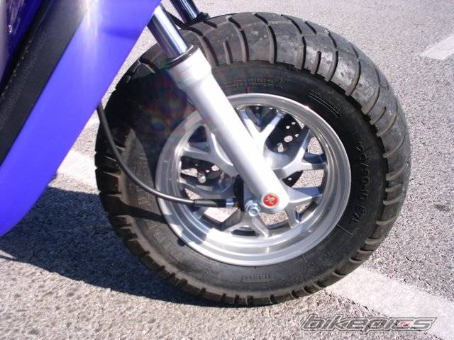 Photo 296234