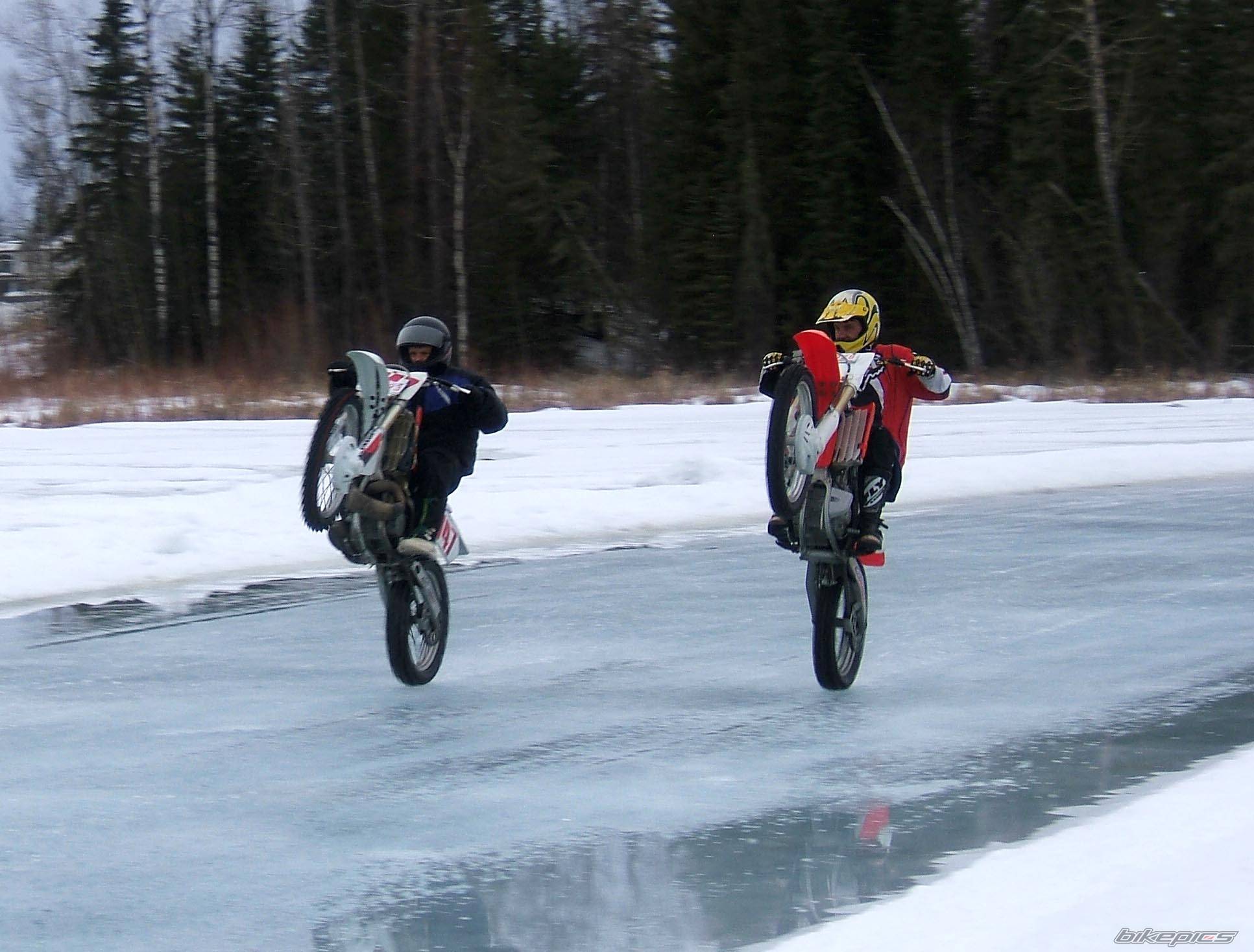 Photo 296279