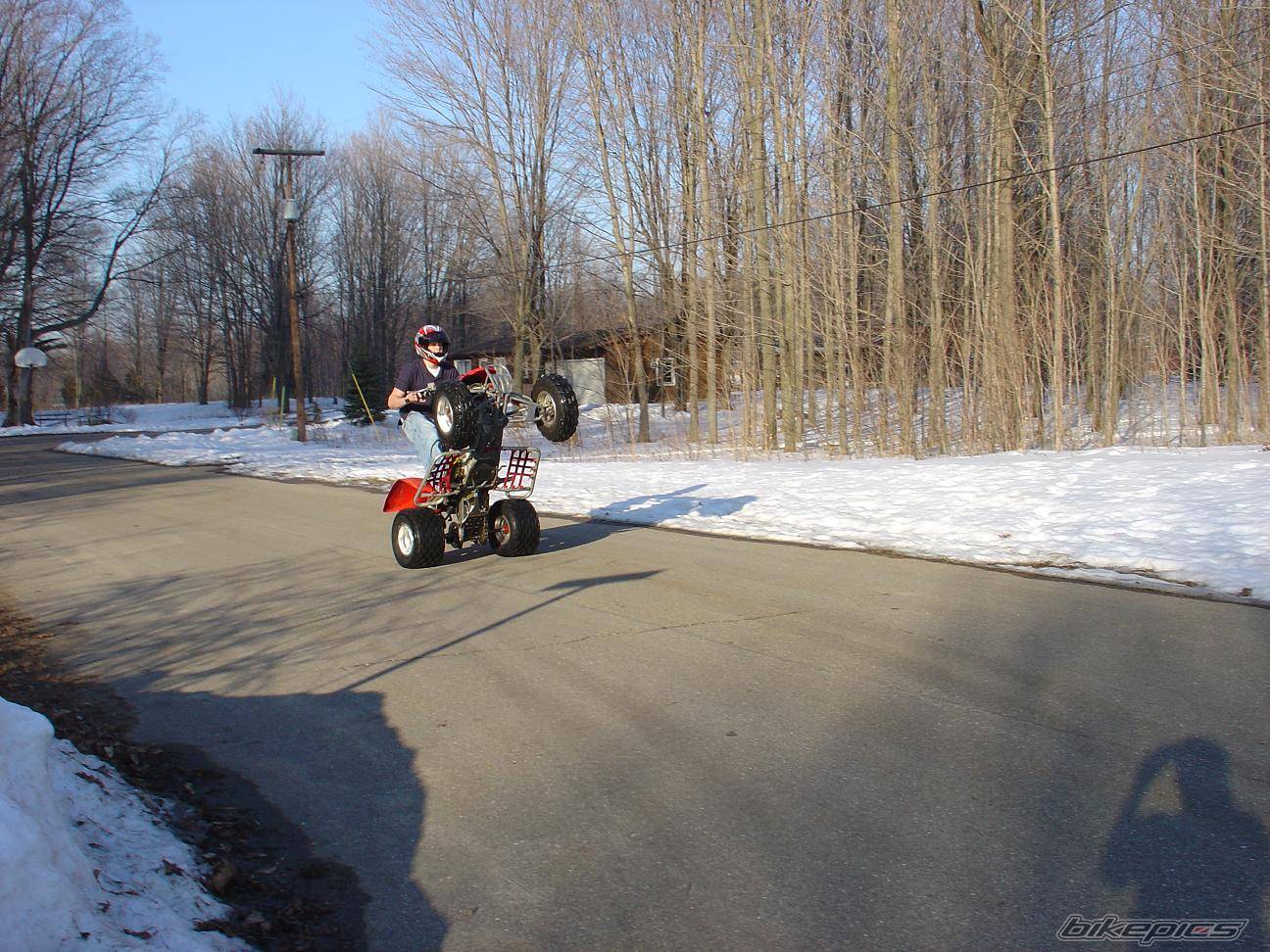 Photo 296282