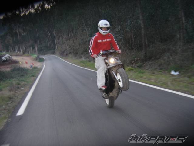 Photo 296293