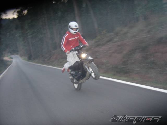 Photo 296294