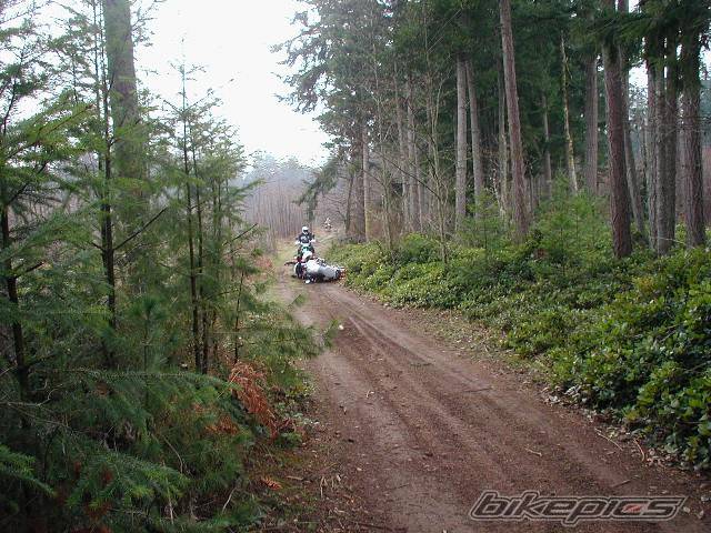 Photo 296307