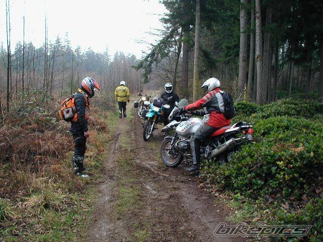 Photo 296309