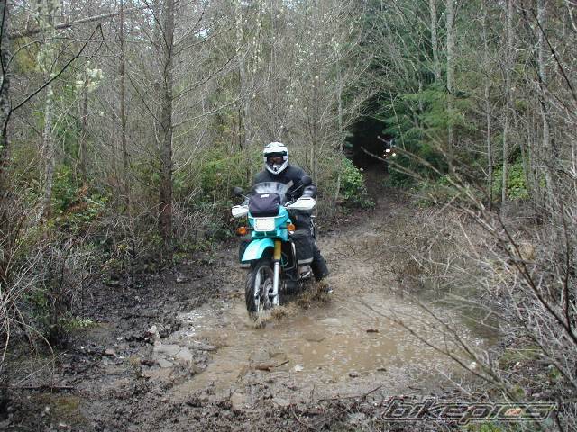 Bike Photo 296312